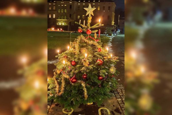 Malteser Steiermark Weihnachtsfeier 03